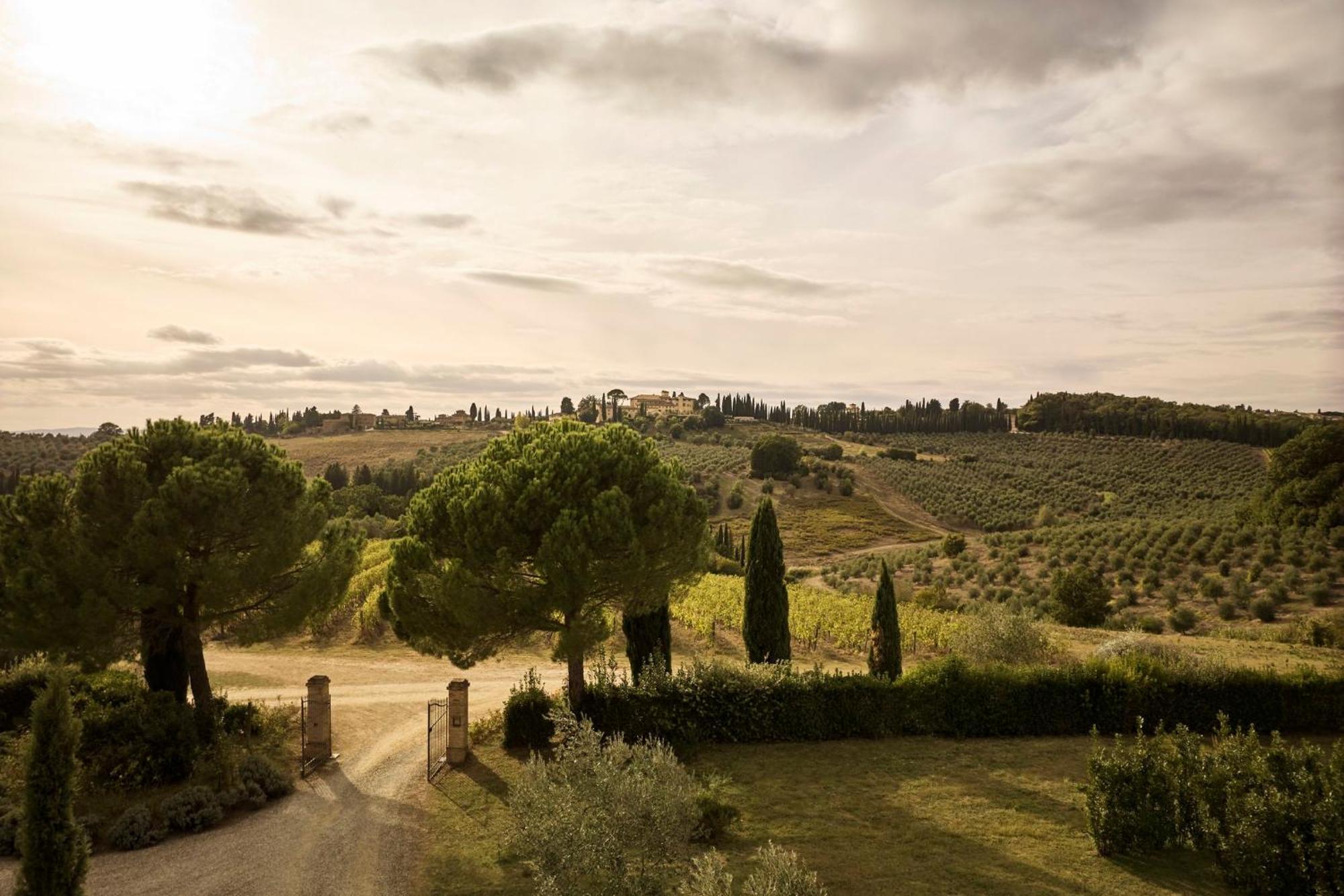 Castello Del Nero - Podere San Filippo Tavarnelle Val di Pesa Dış mekan fotoğraf